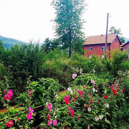 Janja Gora Peace Valley - Dolina Mira المظهر الخارجي الصورة