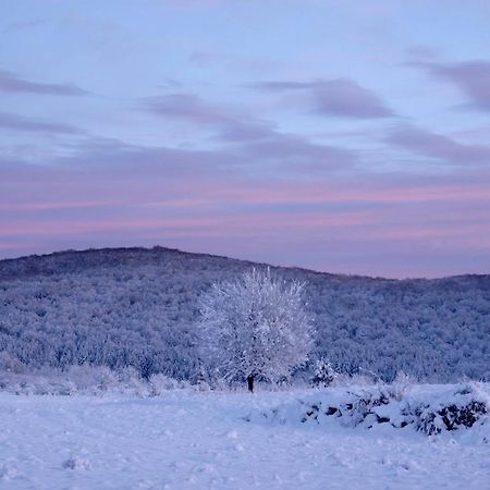 Janja Gora Peace Valley - Dolina Mira المظهر الخارجي الصورة
