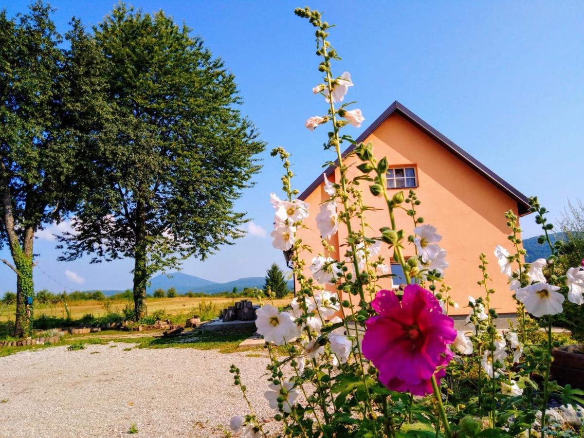 Janja Gora Peace Valley - Dolina Mira المظهر الخارجي الصورة