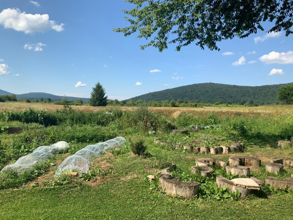 Janja Gora Peace Valley - Dolina Mira المظهر الخارجي الصورة