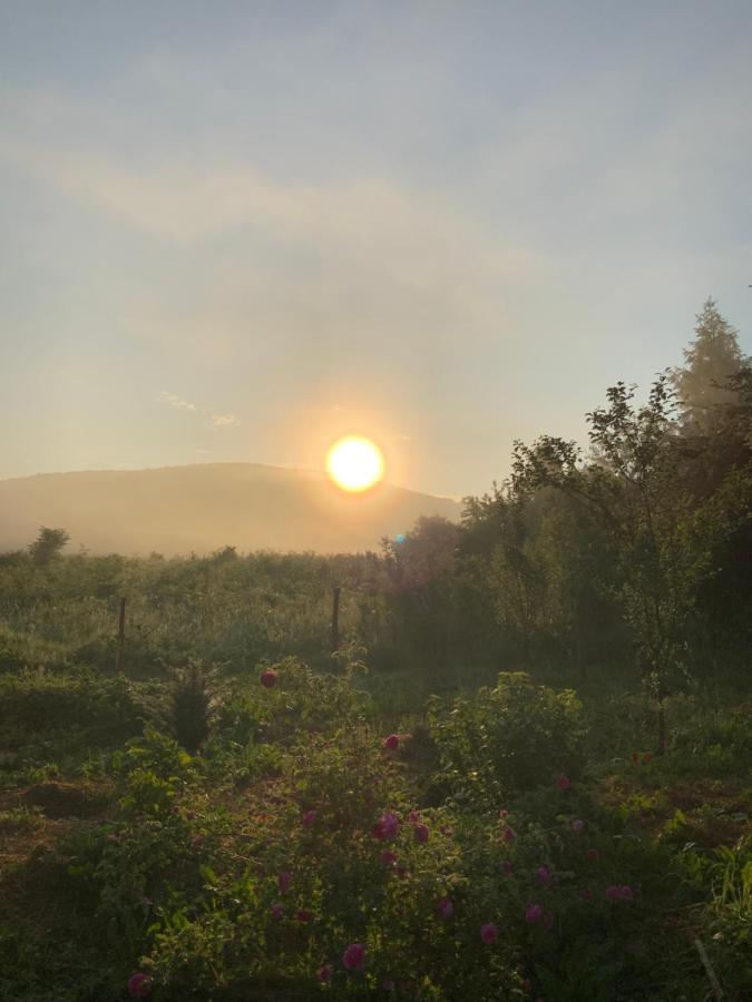 Janja Gora Peace Valley - Dolina Mira المظهر الخارجي الصورة
