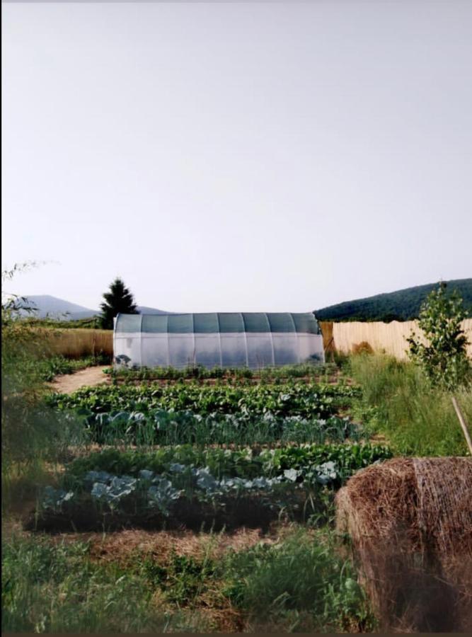 Janja Gora Peace Valley - Dolina Mira المظهر الخارجي الصورة
