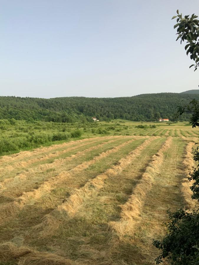 Janja Gora Peace Valley - Dolina Mira المظهر الخارجي الصورة
