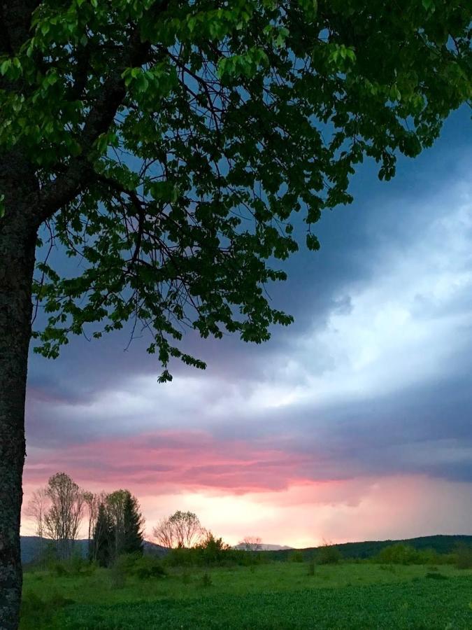 Janja Gora Peace Valley - Dolina Mira المظهر الخارجي الصورة